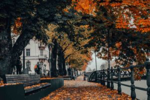 Why September Is the Best Month to Visit Sweden