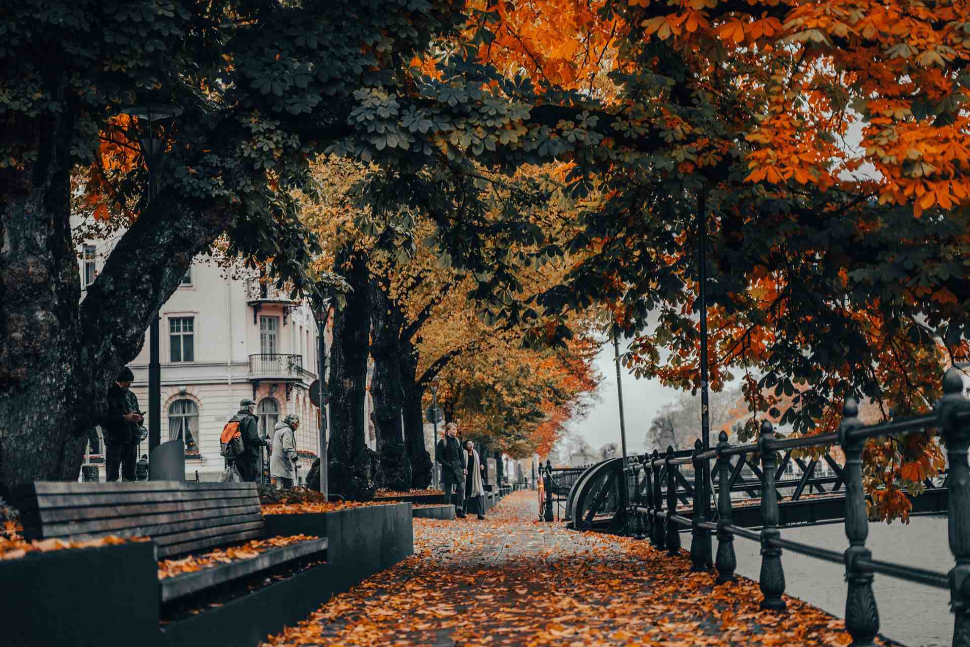 Why September Is the Best Month to Visit Sweden